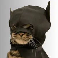 Bat Logo