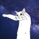 LONG CAT