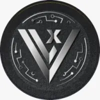 V RIG Logo