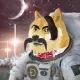 Ukranina Doge