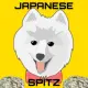 Spitz