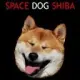 SpaceDogShiba
