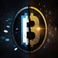 Bitcoin Gold Logo