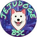JejuDoge Bsc Logo