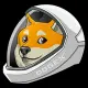 DogeX