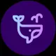 Whales Notify