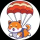 Airdoge