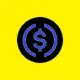 Yellow Black USDC