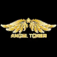 Angel Token Logo