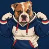 American Bully Logo