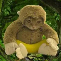 Monkey Cat Logo