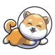 Baby Space Akita