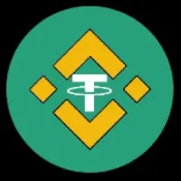 Tether BNB Logo