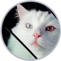Hebei the Cat Logo
