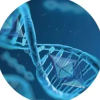 eViral Logo