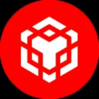 Binance Smart Chain Logo