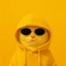 YellowCatz Logo