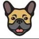 Frenchie Network