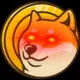Doge Earn