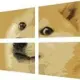 WindogSpace