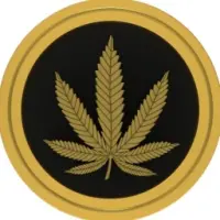 CannWorld Logo