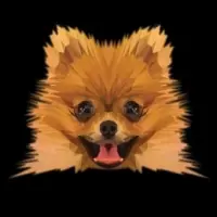 Boo Logo