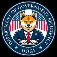 Department of Government Efficiency Logo