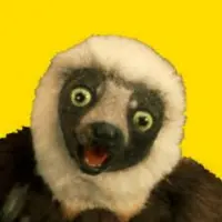 Zoboomafoo Logo