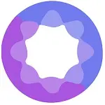 Wisdomise Ai Logo