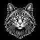 CatBar Coin