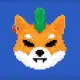 Crypto SHIBA