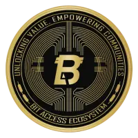 BIT ACCESS Logo