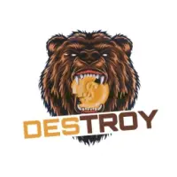 Destroy Token Logo