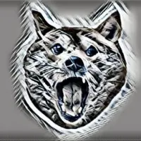 TitaniumDoge Logo