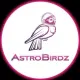 AstroBirdz