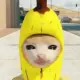 BANANACAT