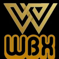 WORLD BIT XCHANGE Logo