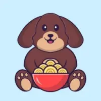 DogeFan Logo