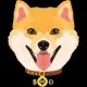 SAFE DOGE