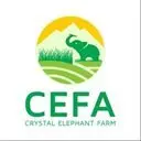 Crystal Elephant Farm Logo