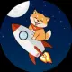 Doge's Red Rocket
