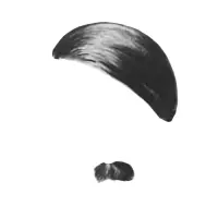 YAYDOLF YITLER Logo