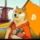 DOGEDAY
