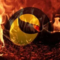 It Burns Lunc Logo
