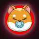 MiniShibaInu