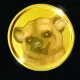 KINKAJOU