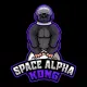 SpaceAlphaKong