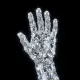 DAIMOND HANDS