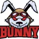 BunnyRise