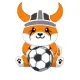 Floki Inu Football